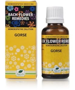 NEW LIFE Bach Flower Heather 30