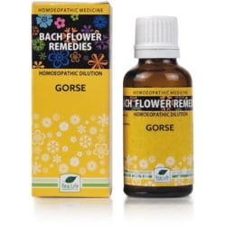 NEW LIFE Bach Flower Heather 30