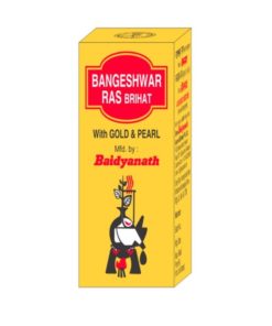 BAIDYANATH Bangeshwar Ras Brihat powder