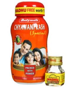 BAIDYANATH Chyawanprash Special with 20gm BAIDYANATH Madhu Free