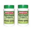 BAIDYANATH Kaishore Guggulu Tablet Pack of 2
