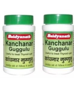 BAIDYANATH Kaishore Guggulu Tablet Pack of 2