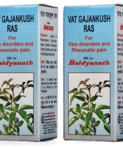 BAIDYANATH Vat Gajankush Ras Tablet Pack of 2