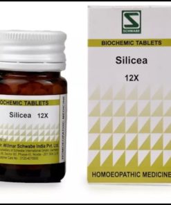 Dr Willmar Schwabe India Silicea Biochemic Tablet 12X