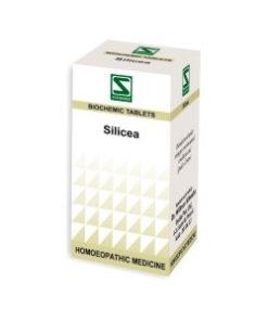 Dr Willmar Schwabe India Silicea Biochemic Tablet 3X