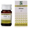 Dr Willmar Schwabe India Silicea Biochemic Tablet 6X