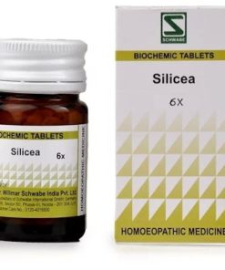 Dr Willmar Schwabe India Silicea Biochemic Tablet 6X