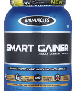 Bigmuscles Smart Gainer Vanilla