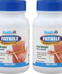 HealthVit Fatnile Powder Vanilla