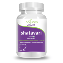 Natures Velvet Lifecare Shatavari Pure Extract 500mg Capsule