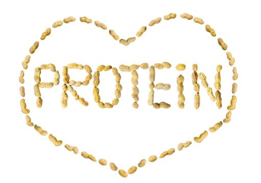 All about Protein!