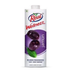 Dabur Real Wellnezz Jamun Juice Jamun_DABUR INDIA