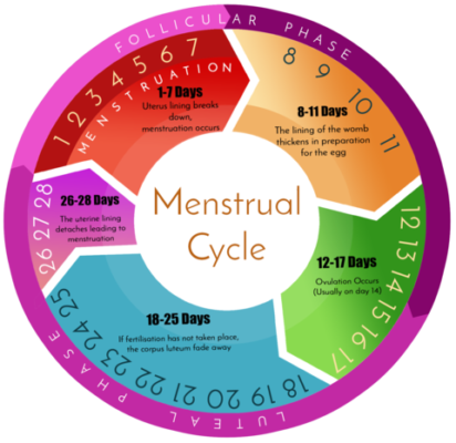 Periods Basic FAQ's