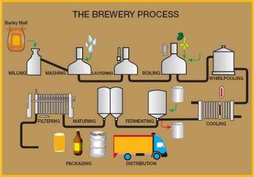 Beer: Benefits!