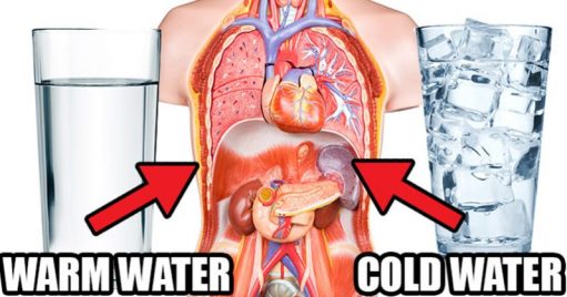 Warm Water Vs. Cold Water- Which One Is Harmful To Your Health?
