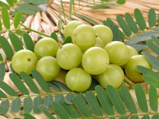 Top Health Benefits Of Amla (Indian Gooseberry)