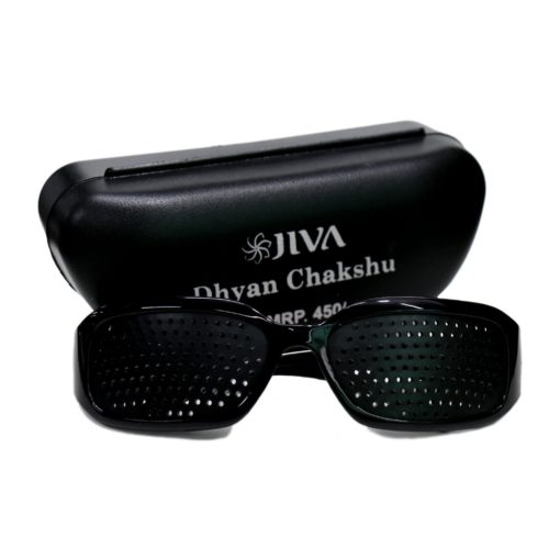Jiva Dhyan Chakshu