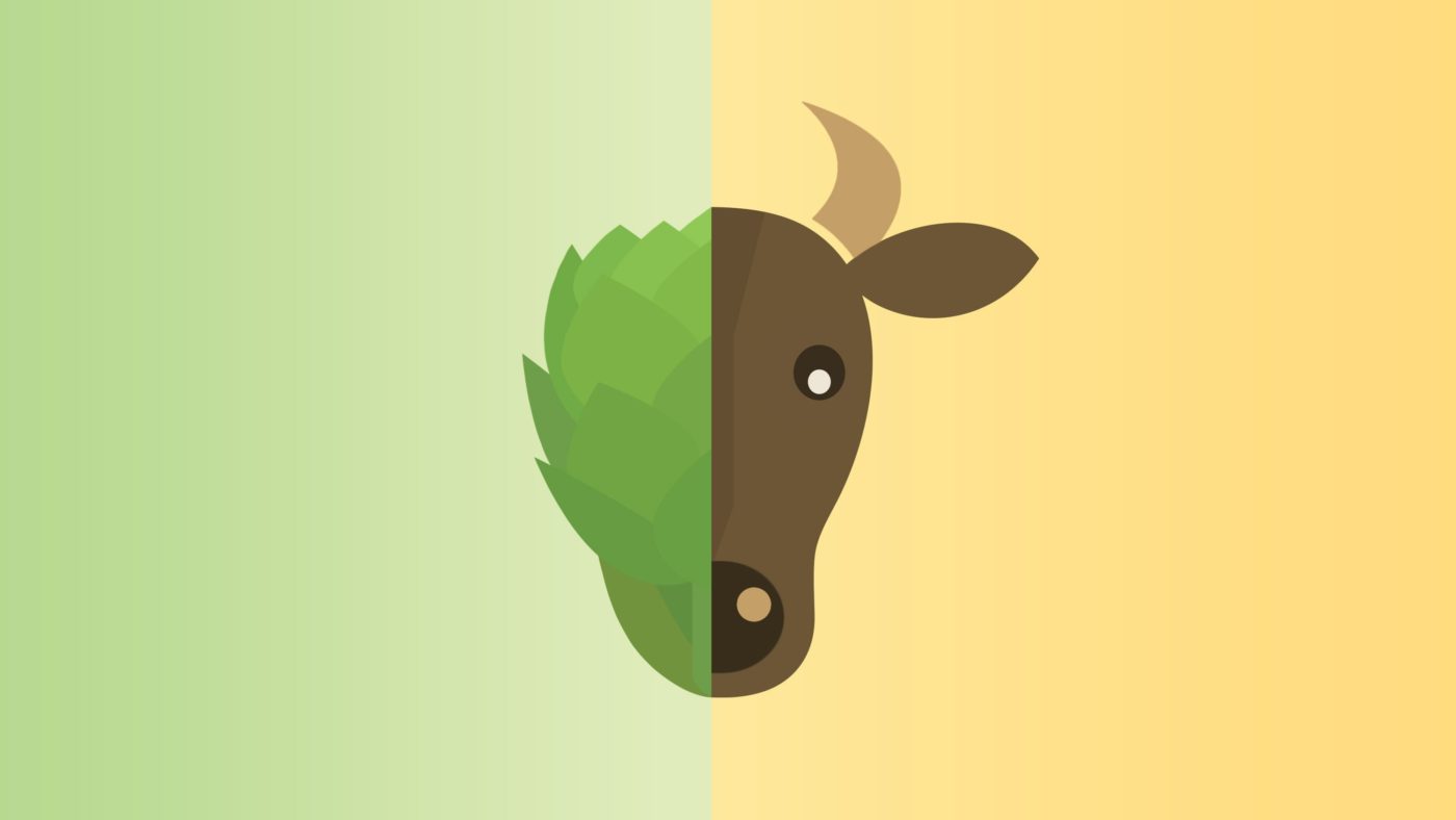 Know all the pros and cons of a vegan diet Fitbynet.com