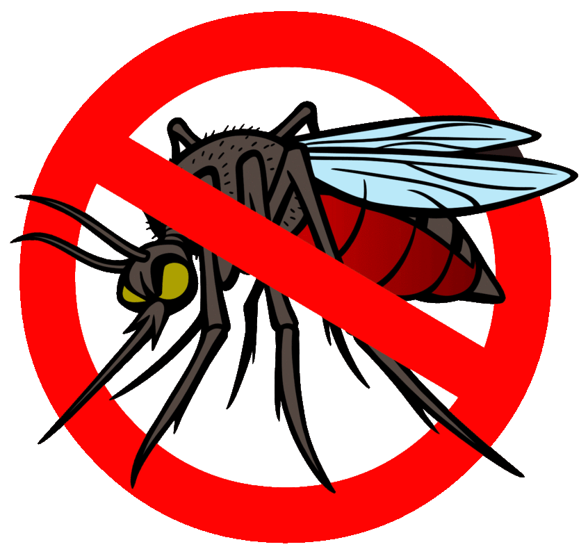 Natural ways to keep mosquitoes away this monsoon