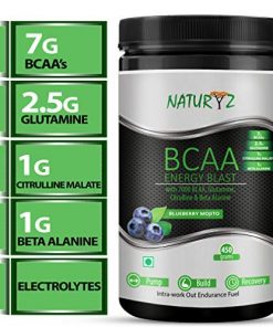 Naturyz Instantized BCAA Energy Blast with 7000 BCAA  Glutamine  Citrulline & Beta Alanine (Blueberry Mojito Flavor)   450Gms