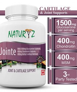 Naturyz Jointe With 1500 Mg Glucosamine  400 Mg Chondroitin & 400 Mg Msm Per Serving For Cartilage Support   60 Tablets