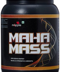 GRF Ayurveda Maha Mass Whey Protein Supplement   300 g (American Ice Cream)