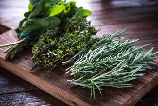 Top Herbs To Boost Your Immunity