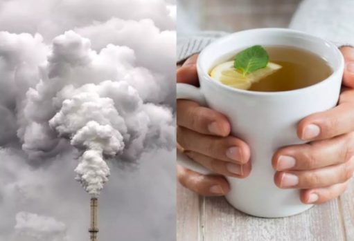 Top Ayurvedic Diet Tips To Fight Air Pollution