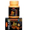 Ever Macho Shilajit Gold DS Capsule