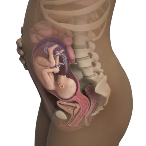 Terminating 28-week pregnancy!