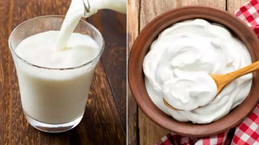 Buttermilk Vs Curd: Which is More Healthy? Find here!