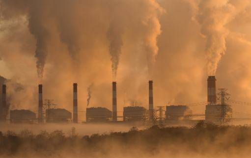 Delhi AQI Alert: Pollution May Trigger Skin Issues, Doctor Warns