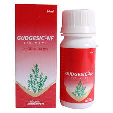 Gudgesic NF Liniment